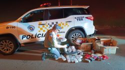 policia-rodoviaria-apreende-150-celulares-e-mais-de-100-frascos-de-perfume-contrabandeados-em-palmital