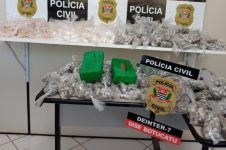 policia-civil-apreende-mais-de-19-mil-porcoes-de-maconha-e-cocaina-em-botucatu