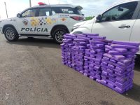 motorista-e-preso-com-mais-de-180-kg-de-maconha-em-florinea