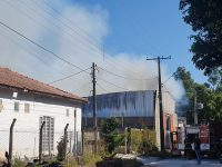 incendio-em-fabrica-de-alimentos-para-pet-mobiliza-bombeiros-em-promissao