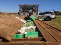 homem-e-preso-transportando-meia-tonelada-de-maconha-em-fundo-falso-de-caminhao-em-rodovia-de-guaranta