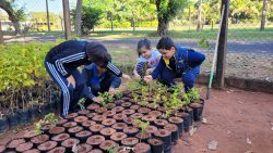 quase-340-mudas-foram-plantadas-em-tupa-na-semana-do-meio-ambiente