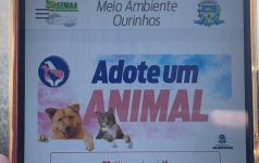 aplicativo-facilita-e-incentiva-adocao-de-animais-em-ourinhos;-veja-com-funciona