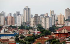 trevo-da-avenida-nuno-de-assis-em-bauru-e-interditado-para-supressao-de-arvores