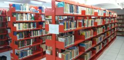 ferias-de-julho:-bibliotecas-oferecem-contacao-de-historias-e-espetaculos-de-teatro-em-bauru;-veja-como-participar