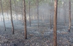 incendio-de-grandes-proporcoes-destroi-area-rural-em-tupa