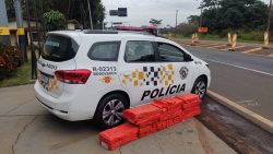 policia-apreende-carregamento-de-maconha-em-rodovia-de-florinea