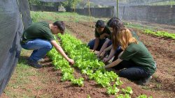 jovens-participam-de-projeto-que-estimula-carreira-no-agro