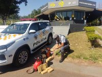 jovens-bolivianos-sao-flagrados-com-pasta-base-de-cocaina-escondida-em-compressores-de-ar