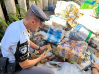 policia-rodoviaria-realiza-maior-apreensao-de-drogas-do-ano-na-regiao-de-botucatu