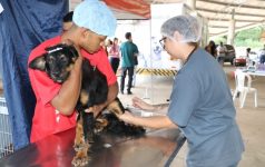 marilia-abre-inscricoes-para-castracao-gratuita-de-pets-de-moradores-de-baixa-renda-da-zona-oeste;-veja-como-fazer