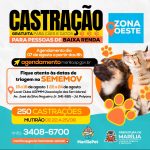 bairros-da-zona-oeste-de-marilia-terao-castracao-gratuita-de-caes-e-gatos