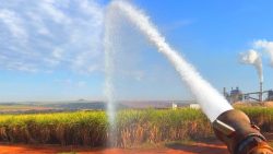 usinas-de-cana-de-acucar-ficam-em-estado-de-alerta-durante-periodo-de-estiagem