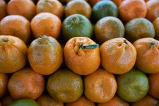 tangerina-e-‘mae’-da-laranja-e-seu-nome-muitas-vezes-e-usado-em-vao…-conheca-curiosidades-da-fruta