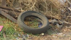 marilia-decreta-estado-de-emergencia-contra-dengue-apos-duas-mortes-pela-doenca